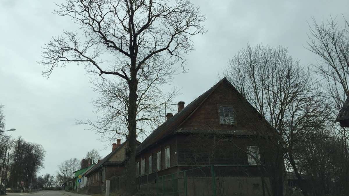 Ilūkste: ēkas skats